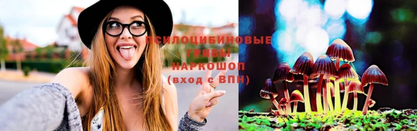 круглые Тавда