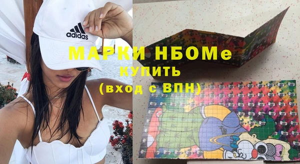 хмурый Алексин
