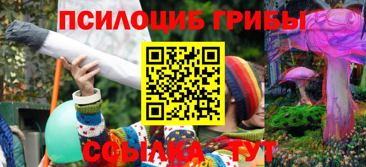 Псилоцибиновые грибы GOLDEN TEACHER  где продают наркотики  Псилоцибиновые грибы мицелий  Тамбов  Вход с VPN 